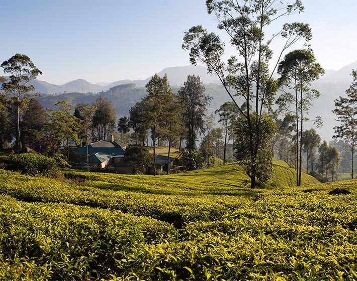 /fileadmin/user_upload/Journeys/Hotels/Ceylon_Tea_Trails/2-ceylon-tea-trails-norwood-bungalow.jpg