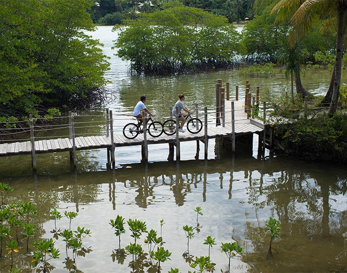 /fileadmin/user_upload/Journeys/Hotels/Soneva_Kiri/5-soneva-kiri-resort-bikes-on-mangroves.jpg