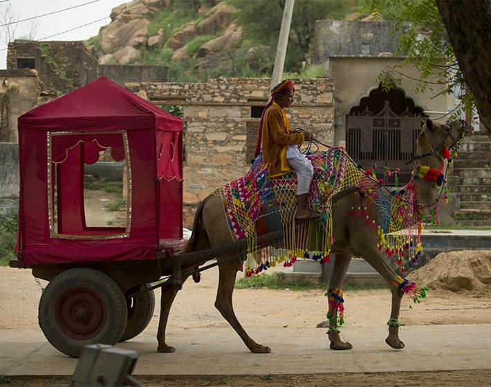 /fileadmin/user_upload/Offers/Heart_of_Bishangarh/5-alila-fort-bishangarh-alila-experiences-camel-safari.jpg